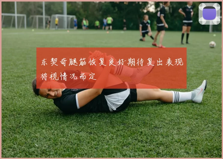 东契奇腿筋恢复良好期待复出表现将视情况而定